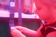 20201126_110444