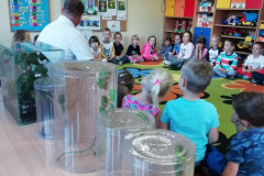 Owady i spółka patyczaki i straszyki