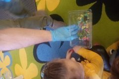 Owady i spółka Płazy