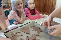 IMG_20191220_103122516